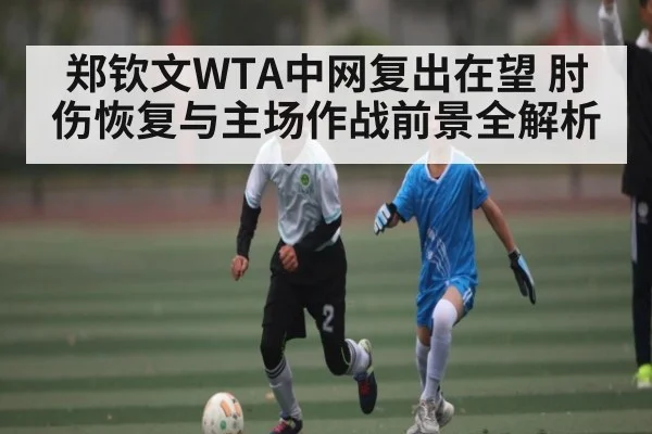 郑钦文WTA中网复出在望 肘伤恢复与主场作战前景全解析