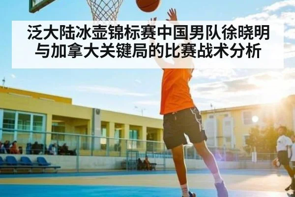 泛大陆冰壶锦标赛中国男队徐晓明与加拿大关键局的比赛战术分析